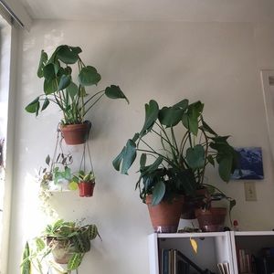 Meet your Posher, Stephen